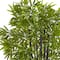 5ft. Bamboo Tree with Black Trunks in Decorative White Planter